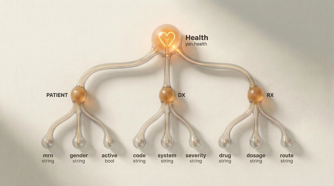 yon.health domain structure — tags and fields that make up the health schema