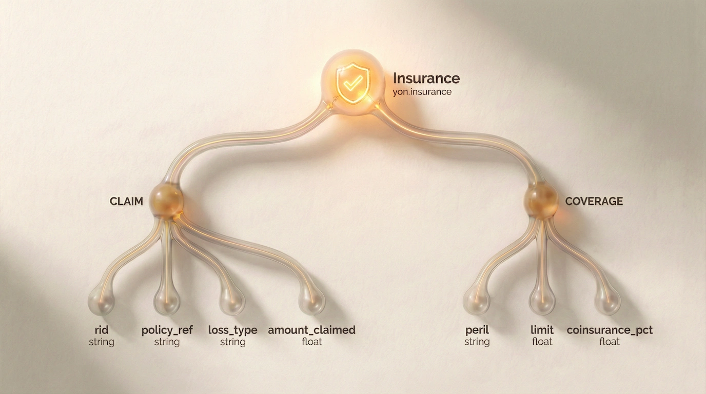 yon.insurance domain structure — tags and fields that make up the insurance schema